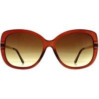 CALVIN KLEIN Women's Butterfly Transparent Brown Brown Gradient CK22548S