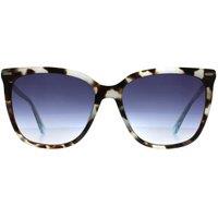 CALVIN KLEIN Women's Butterfly Aqua Tortoise Blue Gradient CK22532S