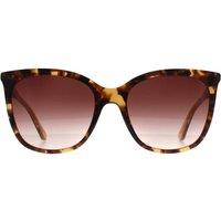 CALVIN KLEIN Women's Round Dark Tortoise Dark Brown Gradient CK23500S