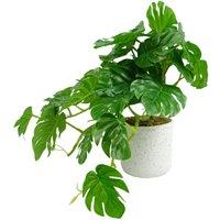 Leaf 30cm Artificial Green Potted Monstera Garland