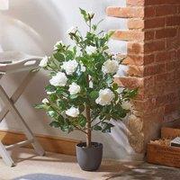 Marco Paul 80cm Artificial Rose Plant - White in Off-White