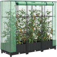 Berkfield Home Raised Bed with Greenhouse Cover Rattan Look 120x40x123 cm in Black | Size: 120 x 40 x 123 cm