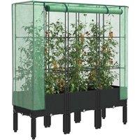 Berkfield Home Raised Bed with Greenhouse Cover Rattan Look 120x40x140 cm in Black | Size: 120 x 40 x 140 cm