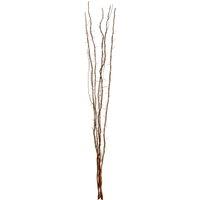 Orsina Ventana Natural 80 Lights Colour Twigs with EU Plug in Brown