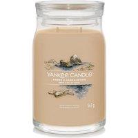 Yankee Candle Women's Signature Large Jar Amber & Sandalwood in Brown