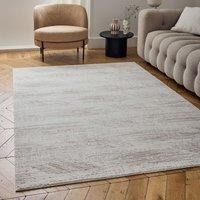THE RUGS 