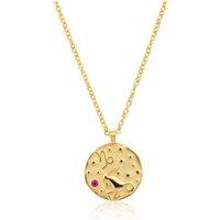 Latelita Women's Zodiac Birthstone Talisman Necklace Capricorn Gold in Pink