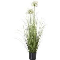 Hill Interiors Agapanthus Plant Pot in White