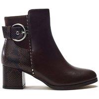 Moda In Pelle Women's 'Panay' Porvair Ankle Boots in Dark Brown | Size: 5
