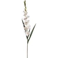 Hill Interiors Artificial Gladioli in White