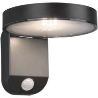 Netlighting Posadas Modern Outdoor Modern Wall Lamp Anthracite 3000K IP44 PIR in Black