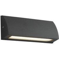 Netlighting SHELBY Outdoor LED Down Light Anthracite IP54 240lm 4000K 17x6x3.2cm in Charcoal | Size: 17x6x3.2 cm