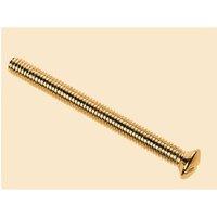Dencon Switch socket Plate Screws, Brass