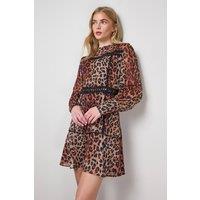 Oasis Women's Printed Lace Trim Long Sleeve Flippy Mini Dress in Animal | Size: 8