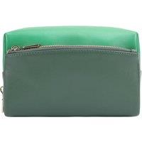 Paul Costelloe Women's Cleo Leather Pouch in Green