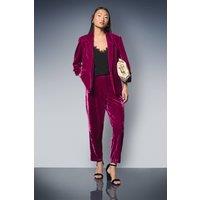 Dorothy Perkins Women's Petite Velvet Trouser in Raspberry | Size: 14