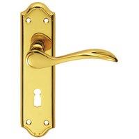 Loops PAIR Curved Door Handle Lever on Lock Backplate 180 x 45mm Polished Brass in Metallics