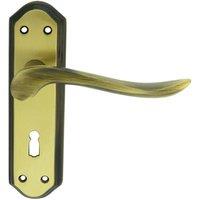 Loops PAIR Curved Handle on Sculpted Lock Backplate 180 x 48mm Florentine Bronze