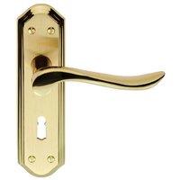 Loops PAIR Curved Lever on Sculpted Edge Backplate 180 x 48mm Satin/Polished Brass in Metallics