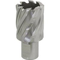 Loops 30mm x 25mm Depth Rotabor Cutter - M2 Steel Annular Metal Core Drill 19mm Shank in Metallics