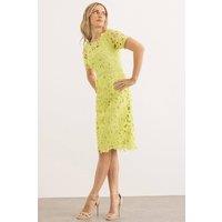 Klass. Women's Lace Bardot Dress in Light Green | Size: 20