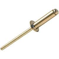 Forgefix Aluminium Rivets 4.8 X 16Mm Bag 100 in Silver