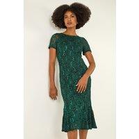 Roman Women's Metallic Lace Sequin Midi Dress in Green | Size: 14
