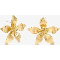 Mood Women's Gold Polished Statement Floral Earrings