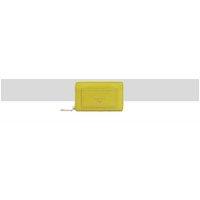 Dents Women's Lucia Leather Purse in Lime