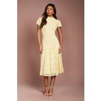 Coast Women's Lace Frill Sleeve High Neck Midi Dress in Yellow | Size: 10