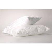 The Linen Consultancy TLC 5 Star Hotel Concept Premium Goose Feather & Down Pillow in White