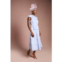 Coast Women's Lace Bodice Pleated Skirt Midi Dress in Cornflower Blue | Size: 16