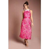 Coast Women's Halter Neck Satin Lace Contrast Collar Midi Dress in Pink | Size: 14