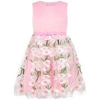 HOLLY HASTIE Girl's Margarita Embroidered Tulle & Satin Occasion Party Dress, Pink | Size: 3-4 Years