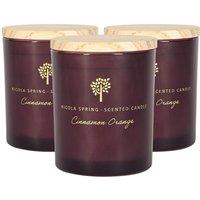 Nicola Spring 130g Cinnamon Orange Soy Candles - Pack of 3 - Festive Scented Jars in Purple