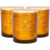 Nicola Spring 130g Sandalwood & Jasmine Soy Candles - Pack of 3 - Sweet Creamy Glass in Orange