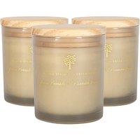 Nicola Spring 130g Pomelo & Passion Fruit Soy Candles - Pack of 3 - Fruity Scented in Grey