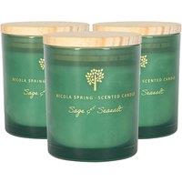 Nicola Spring 130g Sage & Seasalt Soy Candles - Pack of 3 - Herbal Spa Glass Jars in Green