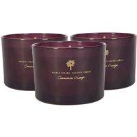 Nicola Spring 350g Cinnamon Orange Soy Candles - Pack of 3 - Double Wick Festive in Purple