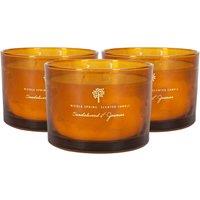 Nicola Spring 350g Sandalwood & Jasmine Soy Candles - Pack of 3 - Double Wick Sweet in Orange