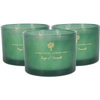 Nicola Spring 350g Sage & Seasalt Soy Candles - Pack of 3 - Double Wick Glass Jars in Green