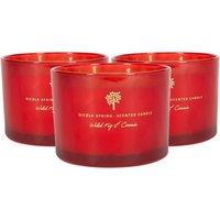 Nicola Spring 350g Wild Fig & Cassis Soy Candles - Pack of 3 - Double Wick Autumn in Red