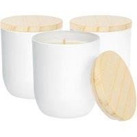 Nicola Spring 130g Coconut & Lime Soy Candles - Pack of 3 - Fruity Summer in White