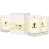 Nicola Spring 3x 160g Soy Wax Scented Candles - Vanilla Sands Aromatherapy Jar Candle in Clear