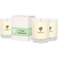 Nicola Spring 3x 160g Soy Wax Scented Candles - Sage Retreat Aromatherapy Jar Candle in Clear