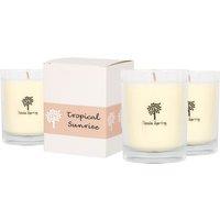 Nicola Spring 3x 160g Soy Wax Scented Candles - Tropical Sunrise Aromatherapy Jar Candle in Clear