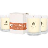 Nicola Spring 3x 160g Soy Wax Scented Candles - Pumpkin Spice Aromatherapy Jar Candle in Clear