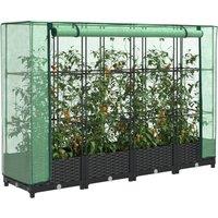Berkfield Home Raised Bed with Greenhouse Cover Rattan Look 160x40x123 cm in Black | Size: 160 x 40 x 123 cm