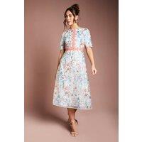 Coast Women's Embroidered Floral With Laid On Lace Midi Dress in Light Blue | Size: 10