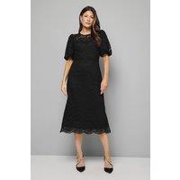 Wallis Women's Lace Puff Sleeve Midi Dress in Black | Size: 12